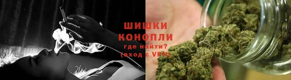 apvp Богданович