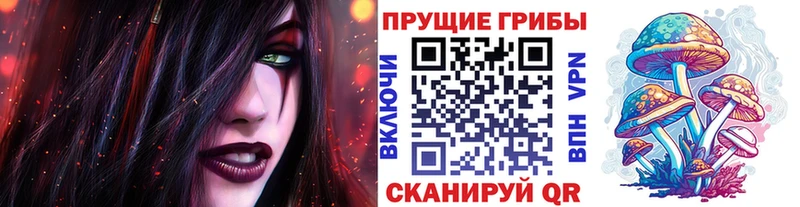 Псилоцибиновые грибы Cubensis Мурманск